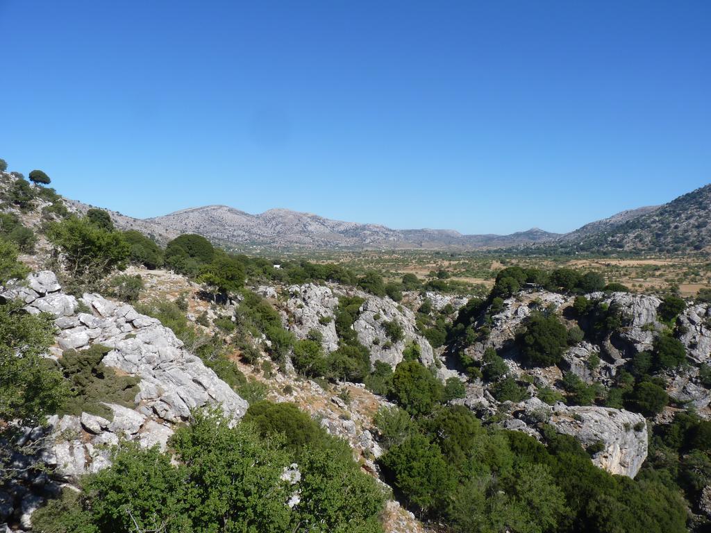 Maison Kronio Lassithi Plateau Marmaketon 객실 사진