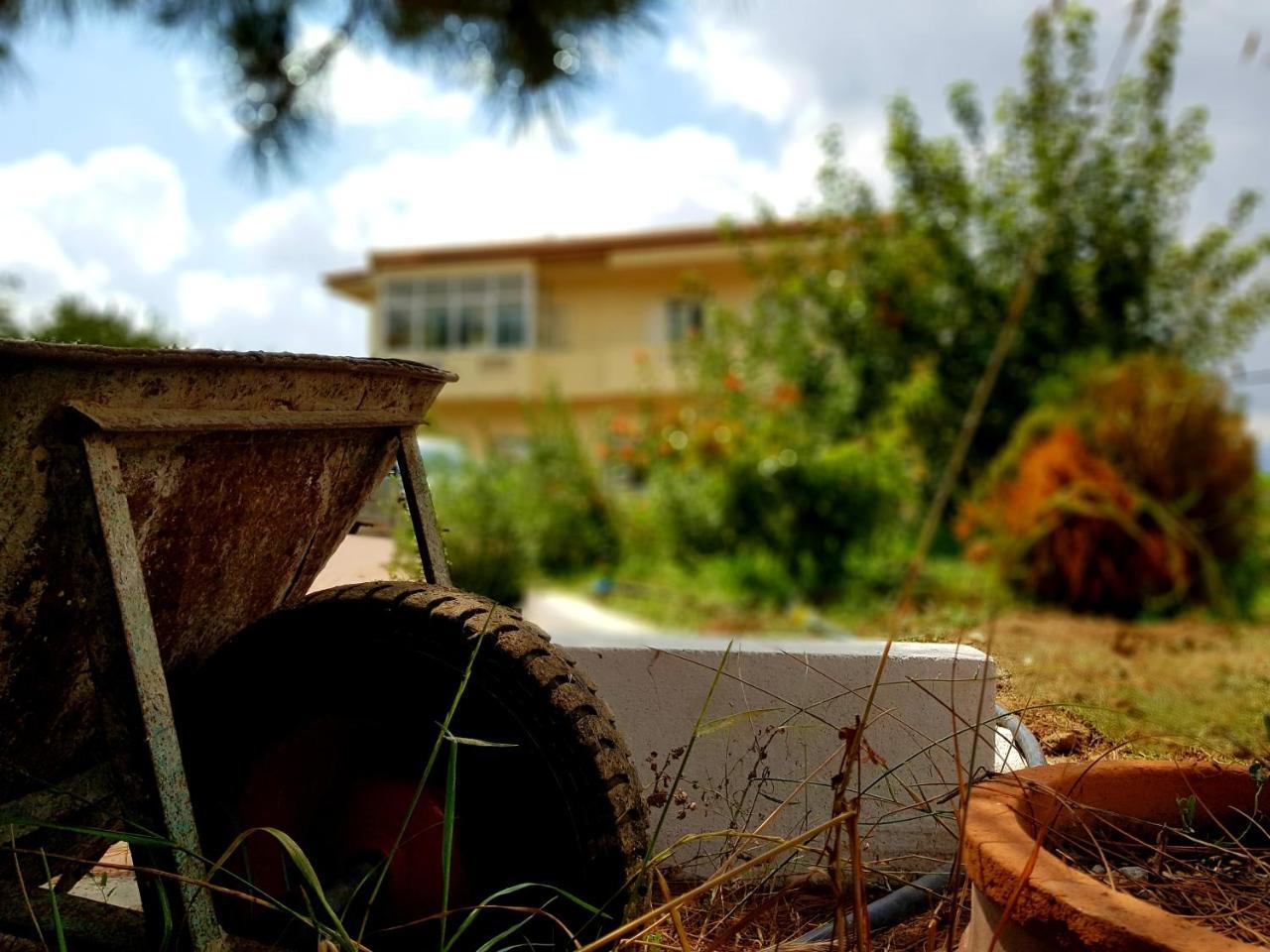 Maison Kronio Lassithi Plateau Marmaketon 외부 사진